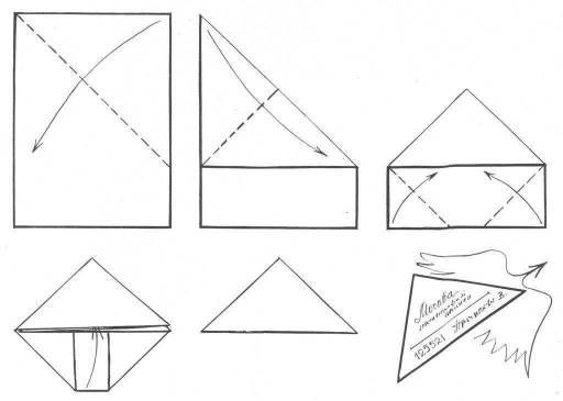 20250503_091159.jpg